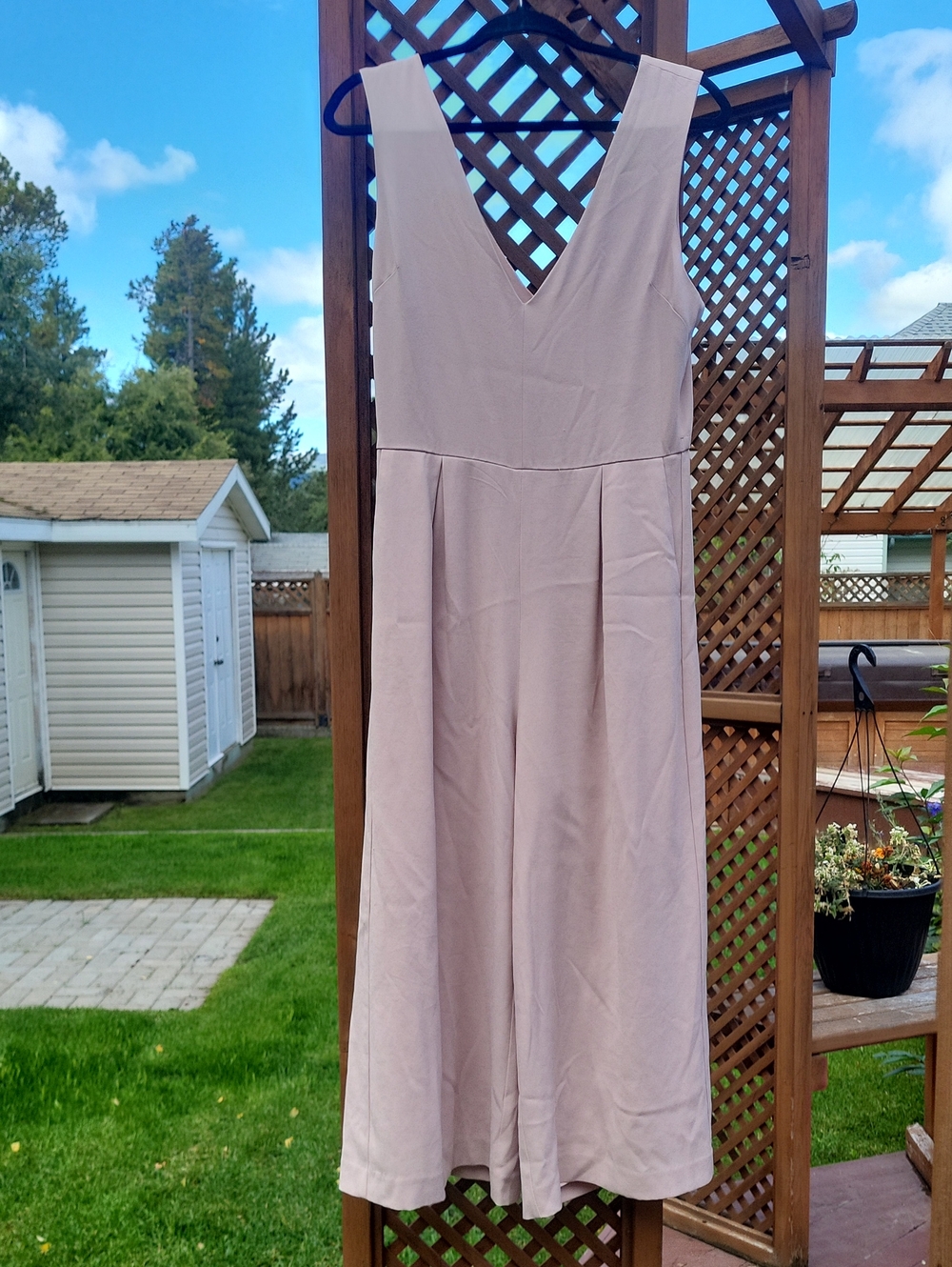 Babaton V-Neck Sleeveless Wide-Leg Jumpsuit in Pale Mauve